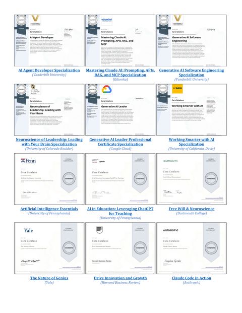 Certificate portfolio page 2