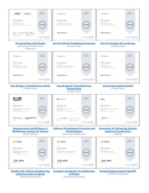 Certificate portfolio page 3